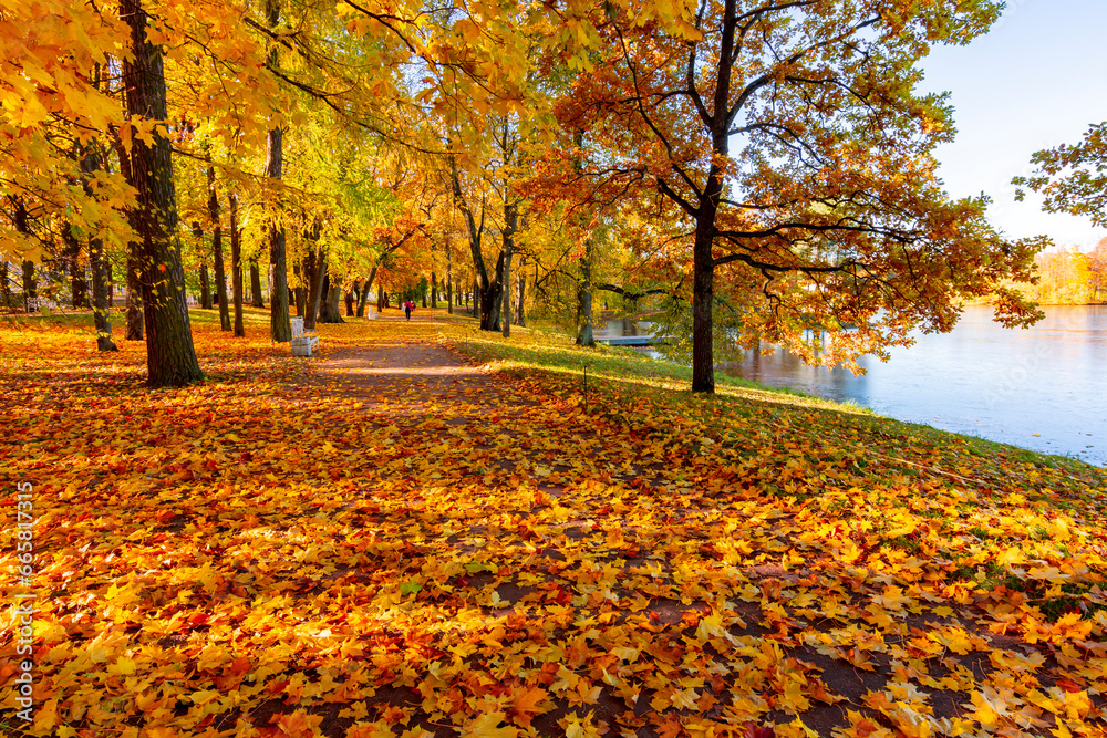 Catherine park in autumn foliage, Tsarskoe Selo (Pushkin), Saint Petersburg, Russia Catherine park in autumn foliage, Tsarskoe Selo (Pushkin), Saint Petersburg, Russia