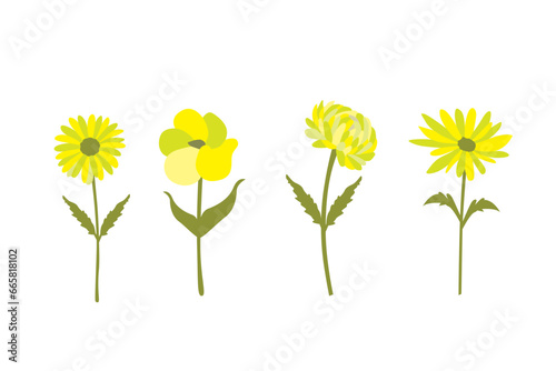 Set of yellow flowers isolated on white background. Vector illustration in flat style.