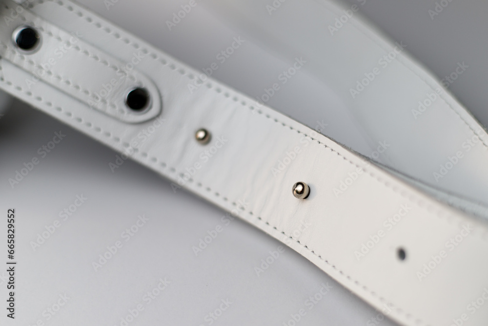 Fototapeta premium Light-colored leather handbag fittings