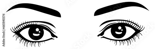 Female eyes and eyebrows. Natural beauty look drawing photo