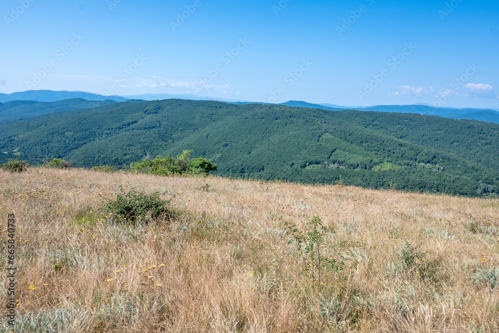 Naklejka premium Summer Landscape of Rudina mountain, Bulgaria