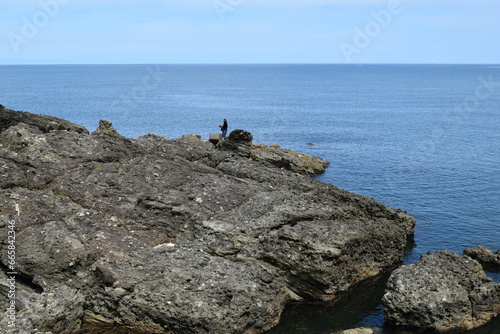 加茂海岸周辺の風景 ／ 山形県庄内浜の加茂海岸には、天然の良港として発展した加茂港、県立加茂水産高等学校、県水産試験場が立地しており、山形県の海洋研究・海洋教育の拠点としての役割も担っています。また、山形県内唯一の水族館である鶴岡市立加茂水族館があり、世界一多くの種類の「くらげ」を展示する水族館として、ギネス世界記録に認定されています。 photo