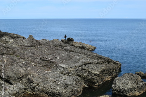 加茂海岸周辺の風景 ／ 山形県庄内浜の加茂海岸には、天然の良港として発展した加茂港、県立加茂水産高等学校、県水産試験場が立地しており、山形県の海洋研究・海洋教育の拠点としての役割も担っています。また、山形県内唯一の水族館である鶴岡市立加茂水族館があり、世界一多くの種類の「くらげ」を展示する水族館として、ギネス世界記録に認定されています。