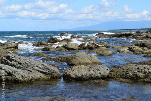 加茂海岸周辺の風景 ／ 山形県庄内浜の加茂海岸には、天然の良港として発展した加茂港、県立加茂水産高等学校、県水産試験場が立地しており、山形県の海洋研究・海洋教育の拠点としての役割も担っています。また、山形県内唯一の水族館である鶴岡市立加茂水族館があり、世界一多くの種類の「くらげ」を展示する水族館として、ギネス世界記録に認定されています。 photo