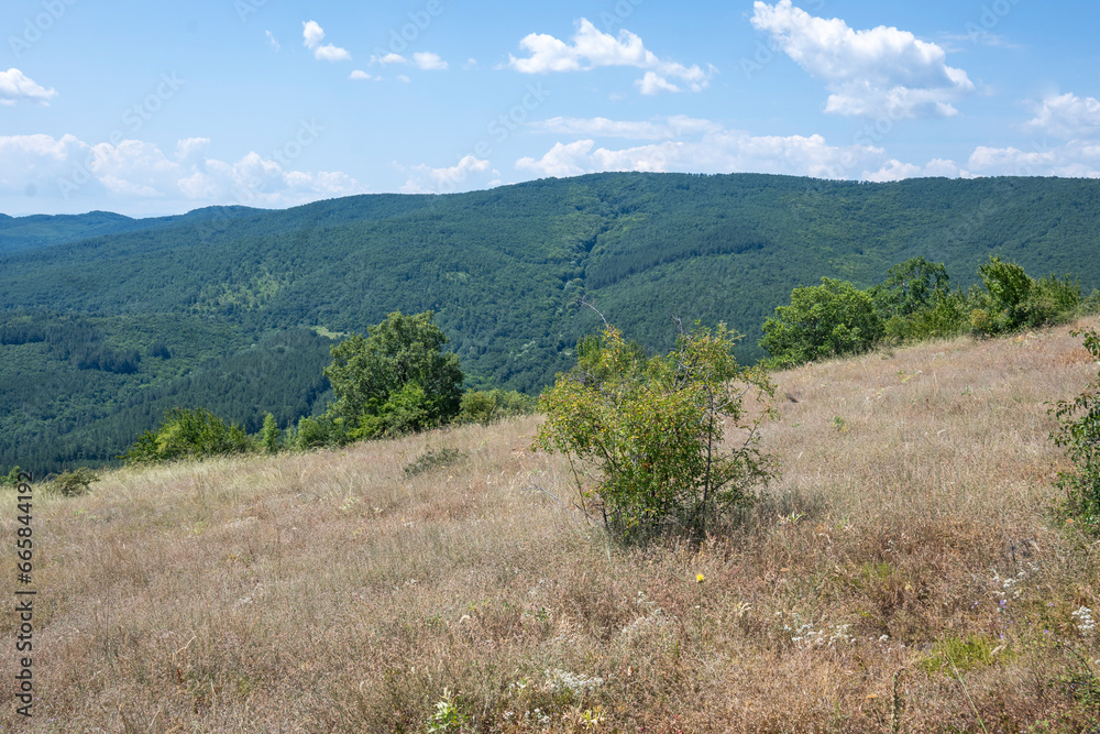 Summer Landscape of Rudina mountain, Bulgaria