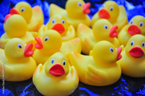 rubber ducks in a row © Damian