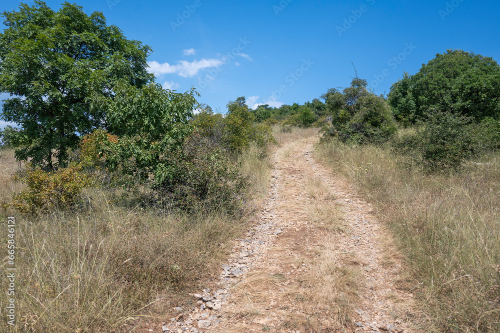 Summer Landscape of Rudina mountain, Bulgaria Summer Landscape of Rudina mountain, Bulgaria