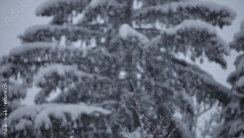 Schneetreiben Schärfenverlagerung / Winter / Schneeflocken / Schnee