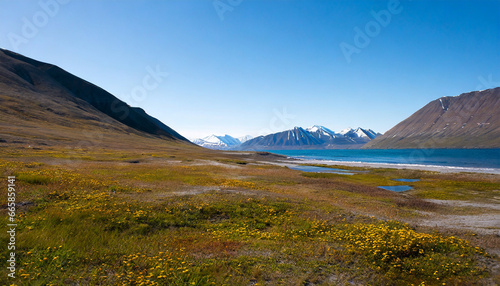 wallpaper norway landscape nature of the mountains of spitsbergen longyearbyen svalbard on a flowers polar day with arctic summer in the sunset © Enzo