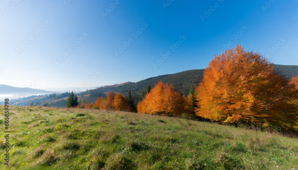 aerial view of beautiful orange trees on the hill in mountains at sunrise in autumn in ukraine colorful landscape with trees in fog sun grass fields and meadows blue sky forest in fall nature