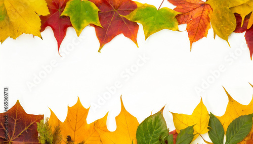 autumn leaves border