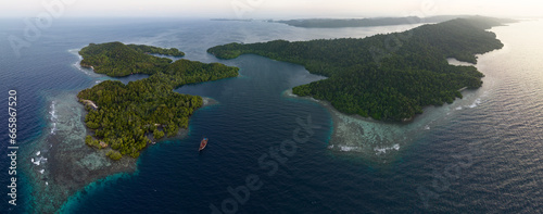 Tropical forest is fringed by coral reefs at Yangeffo Island in Raja Ampat. This area is known as the heart of the Coral Triangle due to its incredible marine biodiversity. © ead72