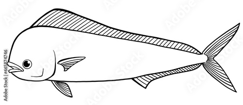 シンプルなシイラの線画イラスト