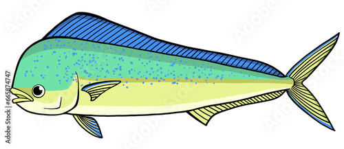 シンプルなシイラのイラスト