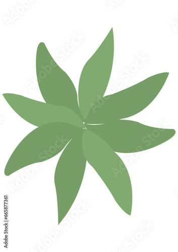 flower leaf 30