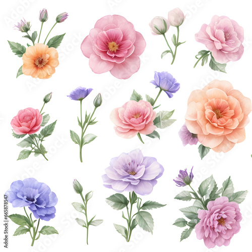 set of flowers isolated