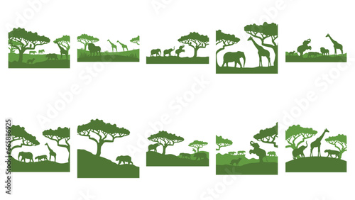 Photography Wild animal landscape silhouette
