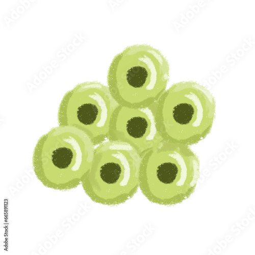 Plakat frog eggs illustration