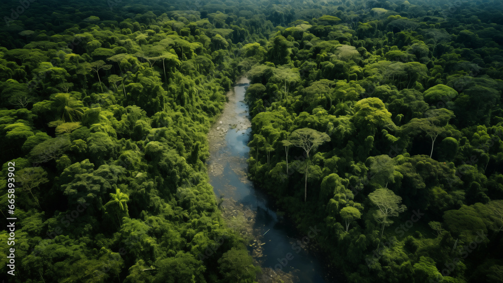 Stunning aerial view of the lush Amazon Stunning aerial view of the lush Amazon