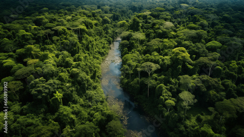 Stunning aerial view of the lush Amazon