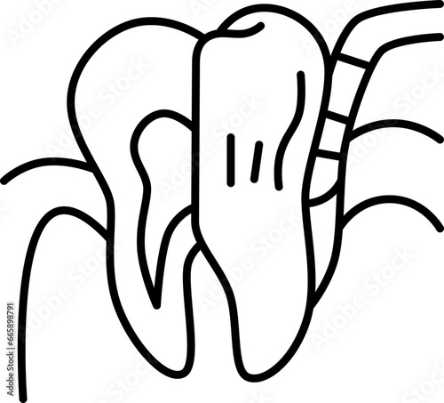 periodontal  icon