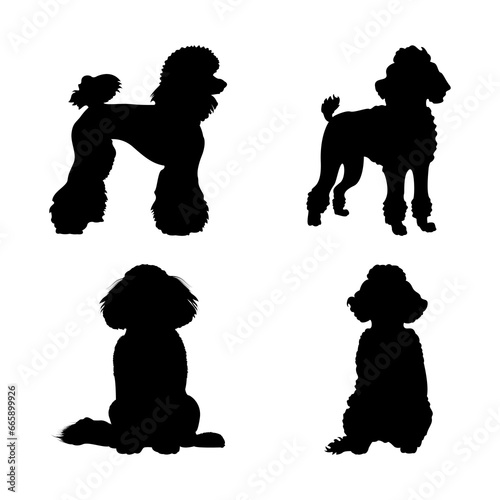 Set of Poodle Dog Silhouettes