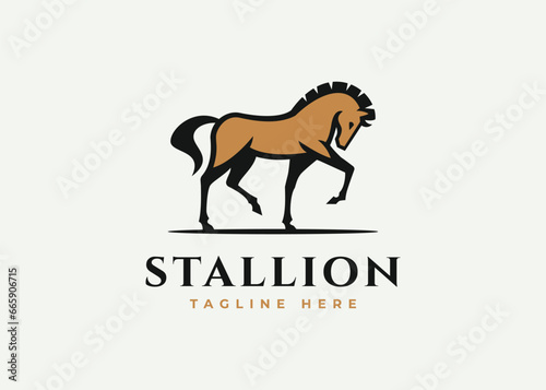  horse logo design vector illustration