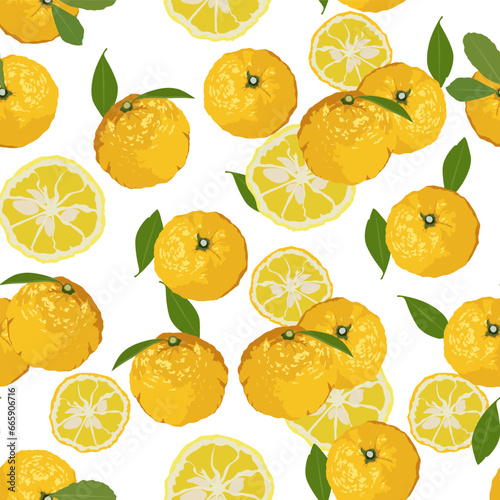 A seamless pattern of Yuzu fruits. vector illustration.