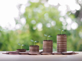 Plants growing up on stack of coins. The concept of saving money, Financial, Investment and Business growing.
