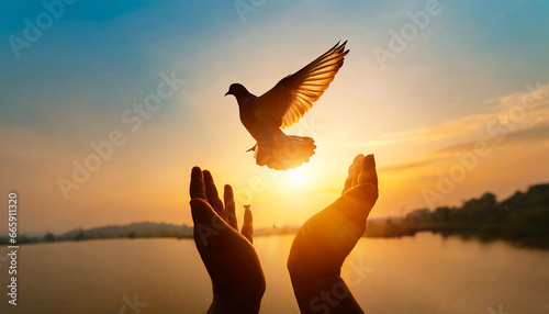 Silhouette pigeon return coming to hands in air vibrant sunlight sunset sunrise background. Freedom making merit concept. Nature animal people hope pray holy faith. International Day of Peace theme photo