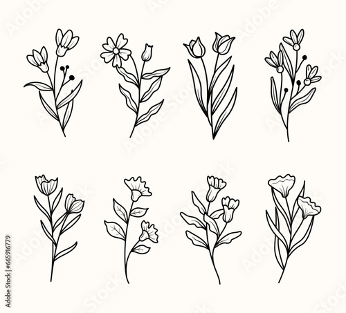Set of flowers line art