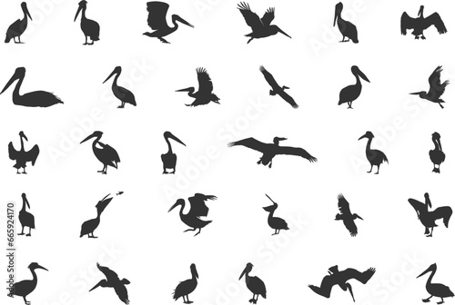 Pelican Silhouette, Brown Pelican Silhouette, Pelican Svg, Pelican Silhouettes, Bird Silhouettes, Pelican Vector