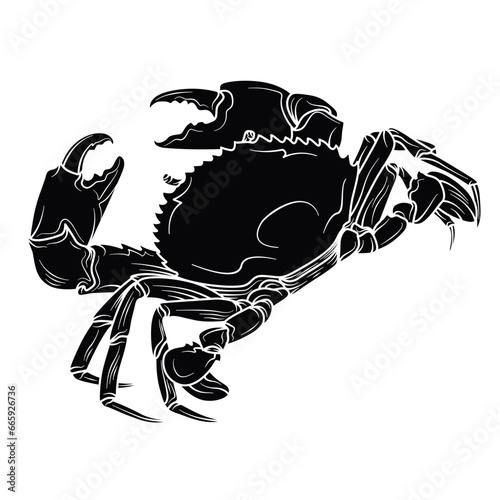 Serrated mud Crab silhouette