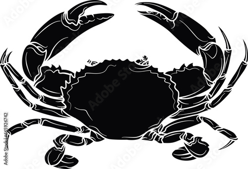 Serrated mud Crab silhouette