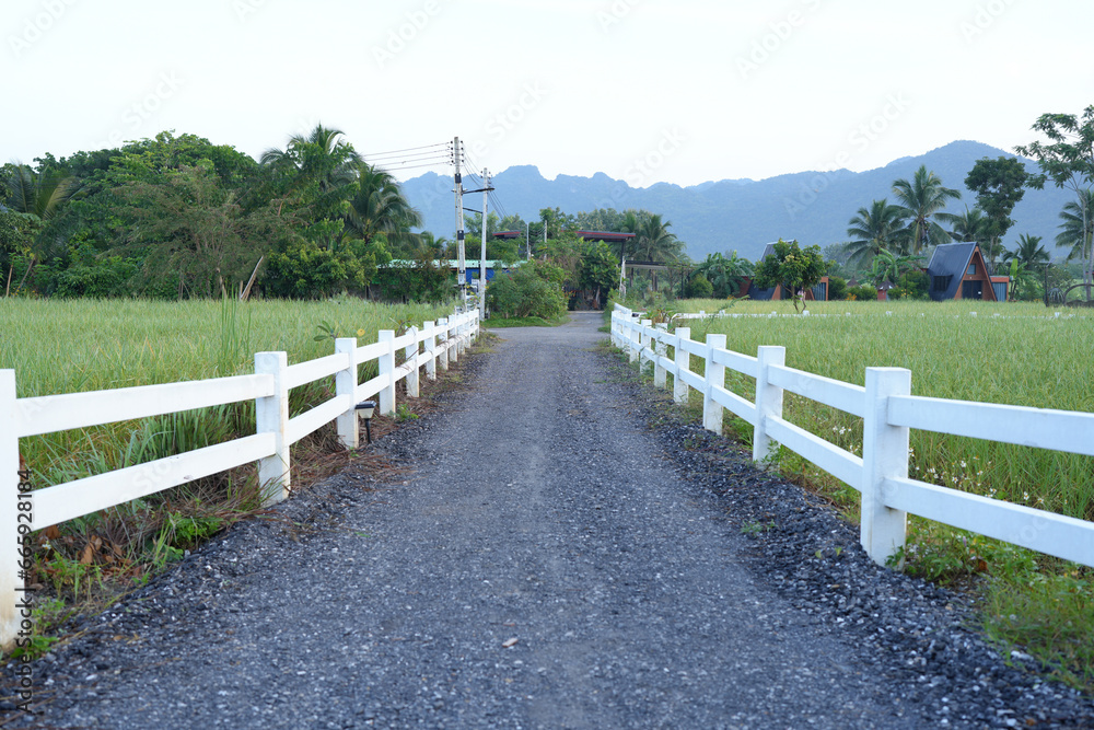 Roads in tourist accommodations in rice fields