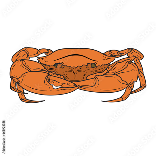 mud Crab