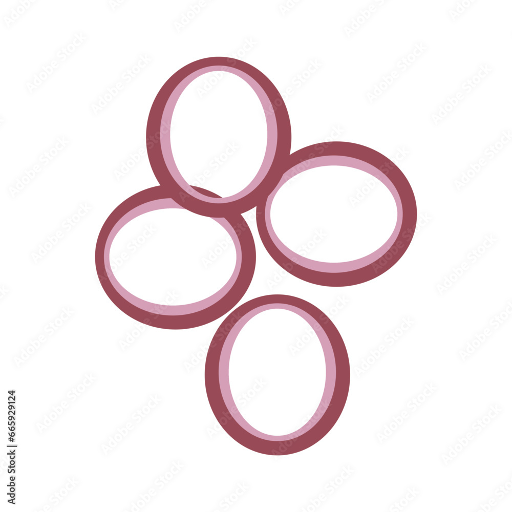Sliced Onions Vector Illustration Sliced Onions Vector Illustration