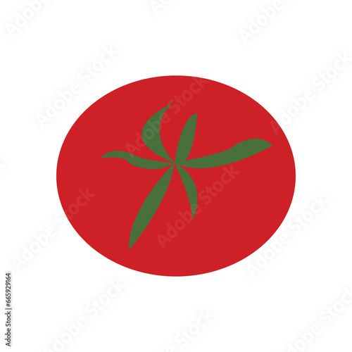 Tomato Vector Illustration