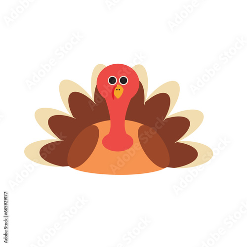 Turkey Vector Illustration