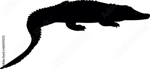 crocodile silhouette