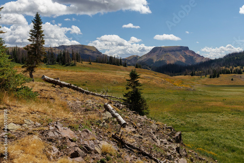 Mountain landscapes in Colorado's San Juan National Forest. photo