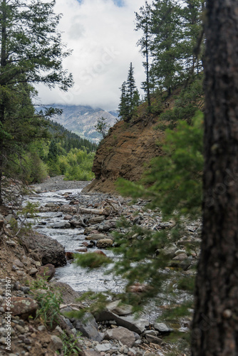 A mountain river fed by snowmelt in Colorado s San Juan Mountains.