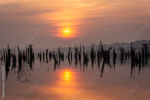 Beautiful view to flooded dead tree trunks emerging from the water