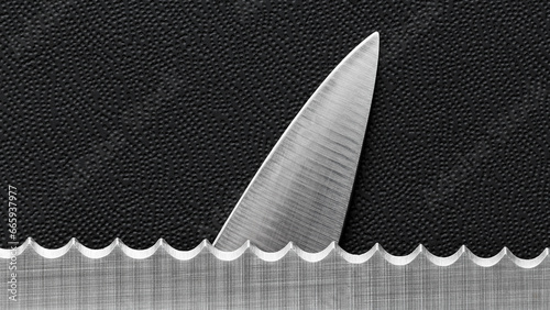 Shark fin from knives photo