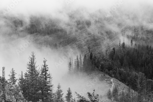 Fototapeta Naklejka Na Ścianę i Meble -  Foggy weather in late summer in tatra mountains in poland