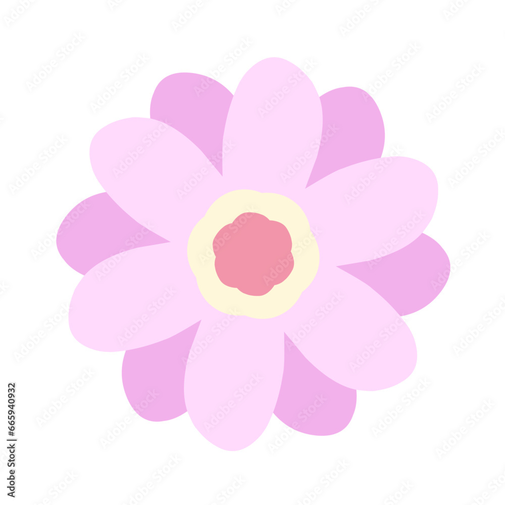 Pink chrisanthemum cartoon Pink chrisanthemum cartoon