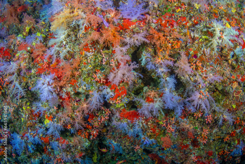 Vaadhoo caves and reef near Male