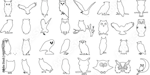 Owl vector illustration set, perfect for children’s books, educational materials. line drawings of owls in different poses - flying, perching, sleeping, standing, walking, hunting, hooting