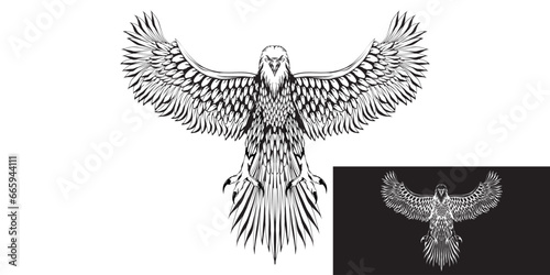 sketch illustration of a standing eagle flapping its wings. photo