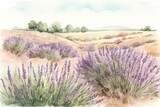 Delicate watercolor drawing of lavender field. Generative AI
